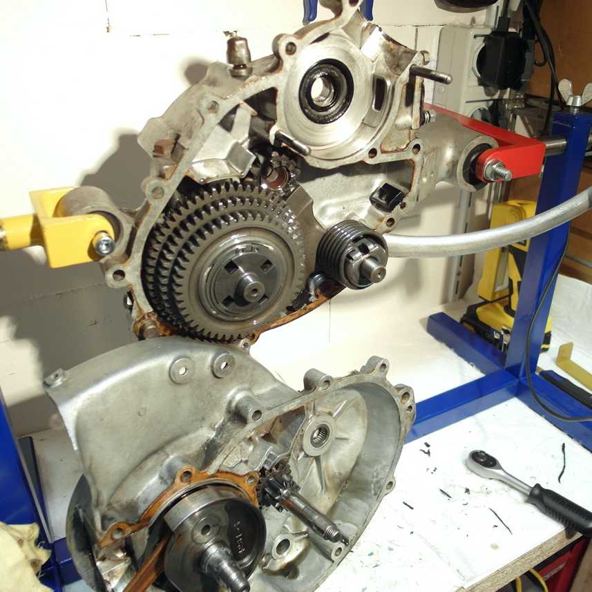 Vespa Motor Revision